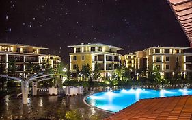 Dreamland Oasis Of Happiness